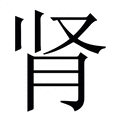 【肾】繁体字典