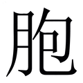 【胞】繁体字典