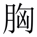 【胸】繁体字典