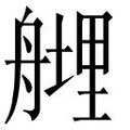 【𱼼】汉语字典