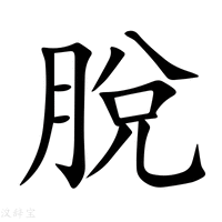 【脫】新华字典