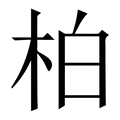 【柏】繁体字典