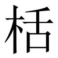 【栝】繁体字典