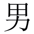 【男】繁体字典