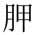 【胛】繁体字典
