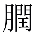 【膶】繁体字典