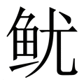 【鱿】繁体字典
