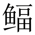 【鲾】繁体字典