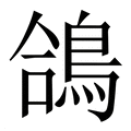 【鴿】繁体字典