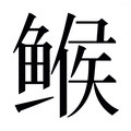 【𱈄】汉语字典
